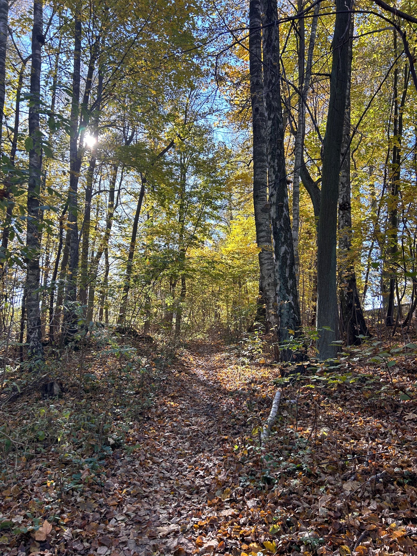 TRENING KARTA PODARUNKOWA